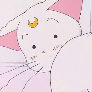 Meet your Posher, Niya